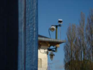 DSC09278.JPG